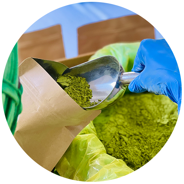 Where To Buy Moringa Powder Wholesale