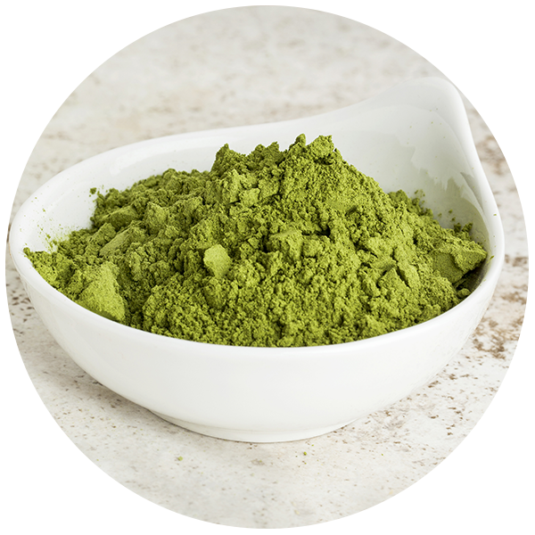 Moringa Suppliers