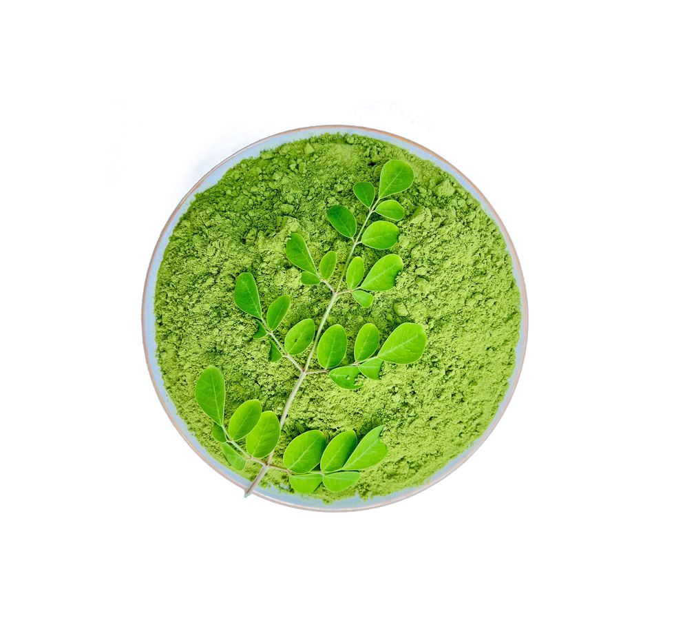 Wholesale Moringa Powder Suppliers In Utah