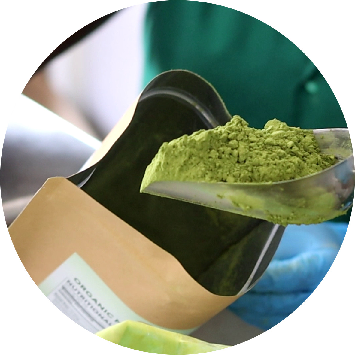 What Is Moringa Powder