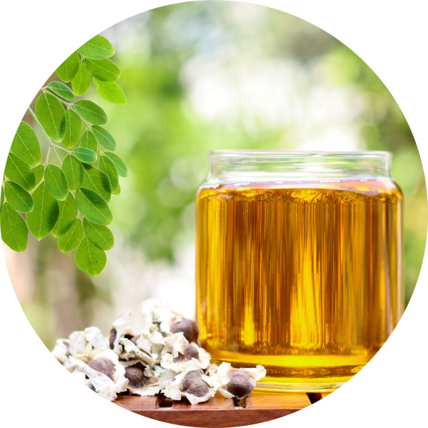 Organic Moringa Seed Oil