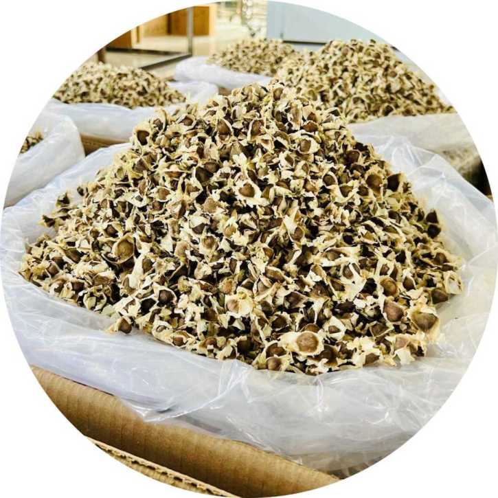 Wholesale Moringa Seed For Buisnesses 3