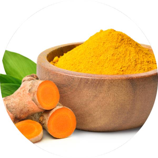 Manufacturer And Bulk Supplier Of Sustainable Turmeric Products