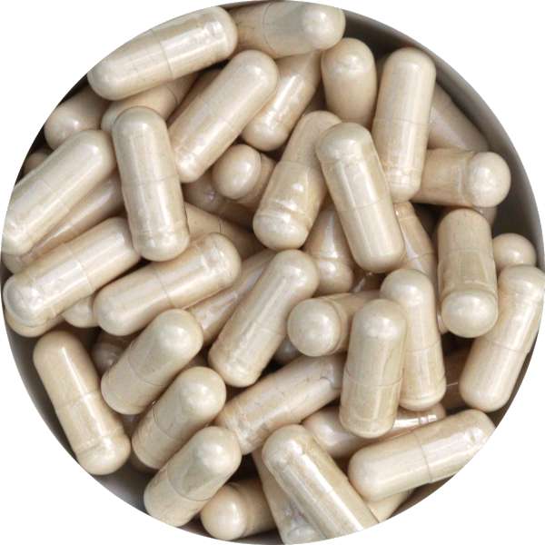 Organic Ashwagandha Capsules Manufacturer Wholesale Bulk Supplier 1