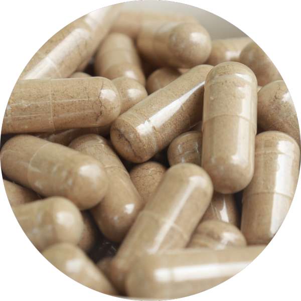 Organic Noni Capsules 4