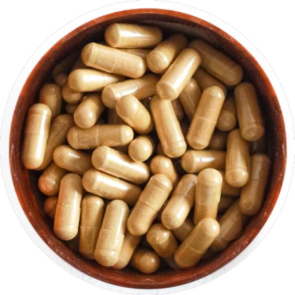 Organic Triphala Capsules Manufacturer Wholesale Bulk Supplier Exporter 2