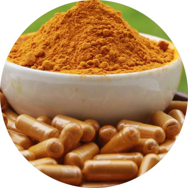 Manufacturer And Bulk Supplier Of Sustainable Turmeric Products