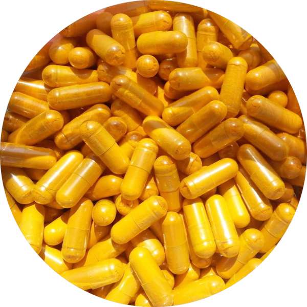 Organic Turmeric Capsules Manufacturer Wholesale Bulk Supplier Exporter 3