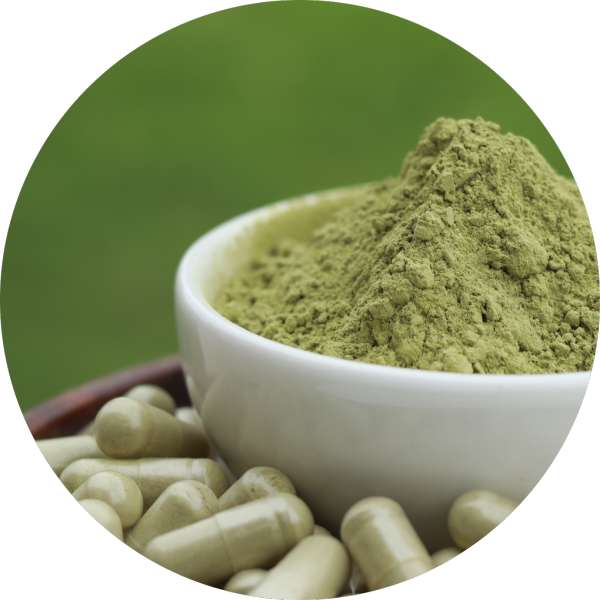 Organic Moringa Capsules Manufacturer Wholesale Bulk Supplier Exporter 1