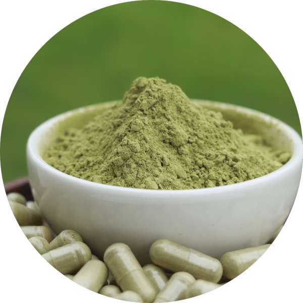 Organic Moringa Capsules Manufacturer Wholesale Bulk Supplier Exporter 4