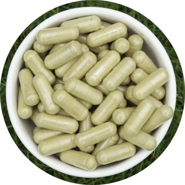 Organic-Moringa-Capsules-Manufacturer-Wholesale-Bulk-Supplier-Exporter-5