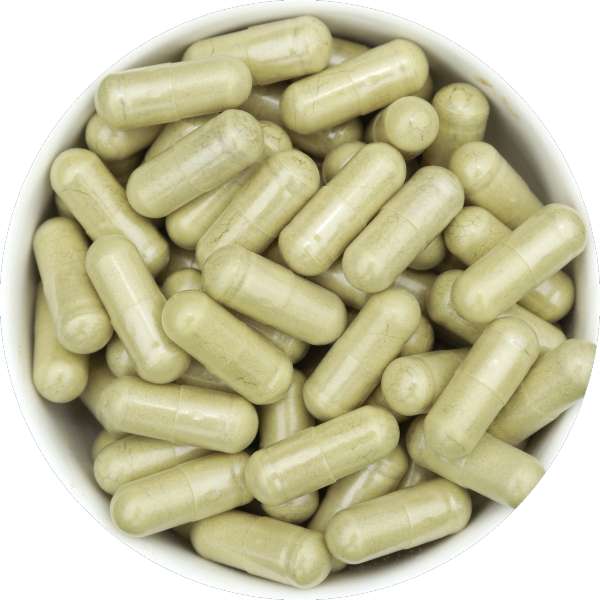 Organic Moringa Capsules Manufacturer Wholesale Bulk Supplier Exporter 6