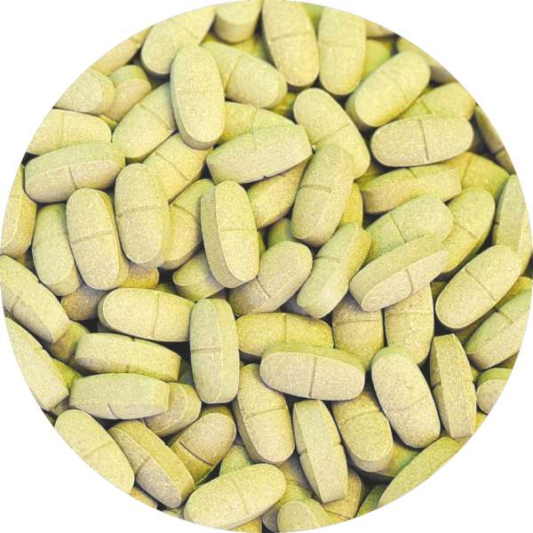 Organic Neem Tablet Manufacturer Wholesale Bulk Supplier Exporter 2