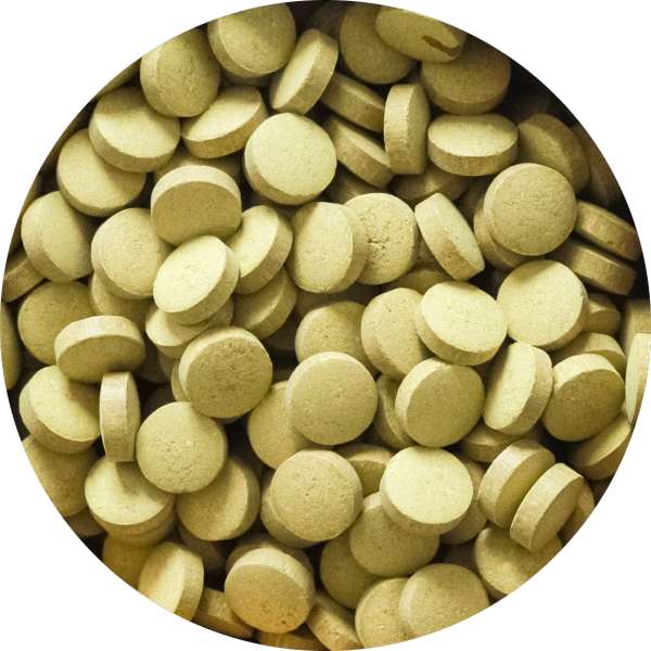 Organic Neem Tablet Manufacturer Wholesale Bulk Supplier Exporter 3