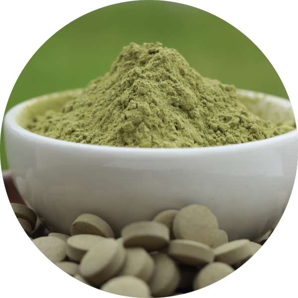 Organic Neem Tablet Manufacturer Wholesale Bulk Supplier Exporter 5