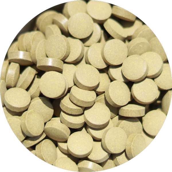 Organic Senna Tablets Manufacturer Wholesale Bulk Supplier Exporter 6