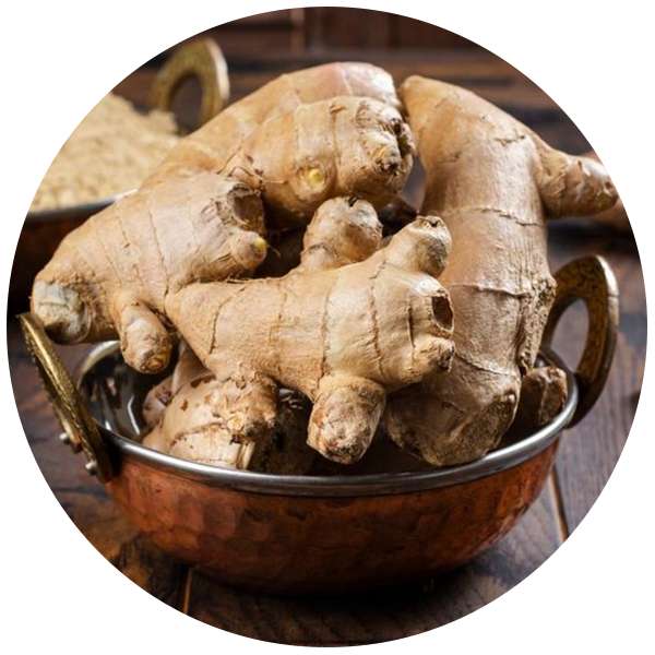 Manufacturer And Bulk Supplier Of Sustainable Ginger Products