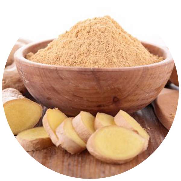 Organic Ginger Powder Manufacturer Wholesale Bulksupplier Exporter 5