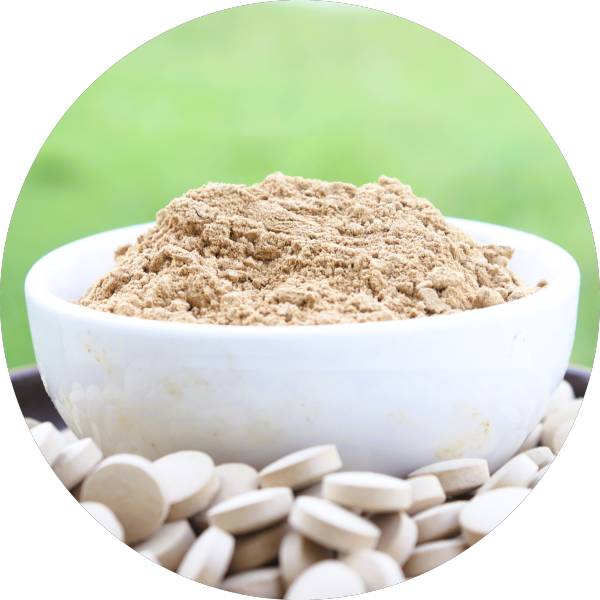 Organic Ginger Tablets Manufacturers Wholesale Bulk Suppliers Exporters 4