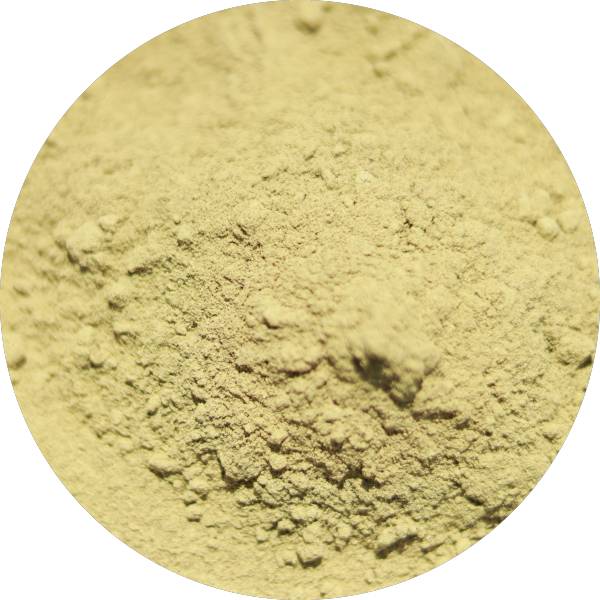 Organic Senna Leaf Powder Manufacturer Wholesale Bulk Supplier Exporter 1