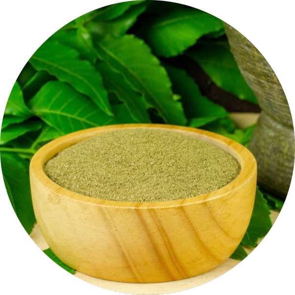 Neem Leaf Powder Manufacturer Bulk Supplier Grenera Nutrients