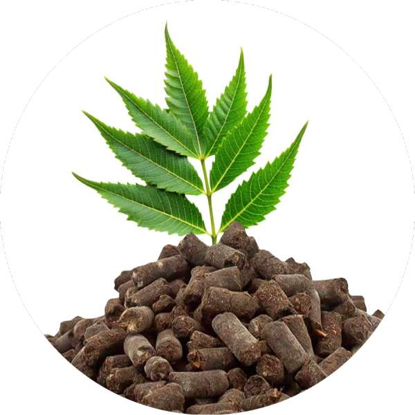 Neem Pellets Manufacturer Bulk Supplier Grenera Nutrients