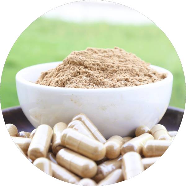 Organic Ginger Capsules Manufacturer Wholesale Bulk Supplier Exporter 2