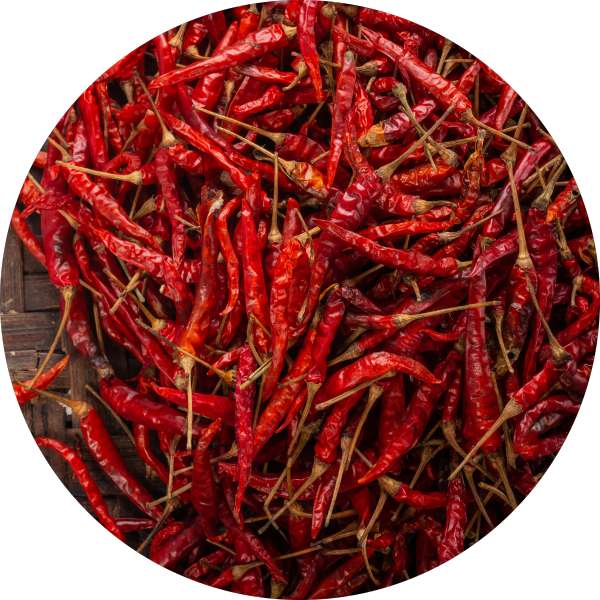 Challenges And Opportunities In Sustainable Chilli Sourcing 1