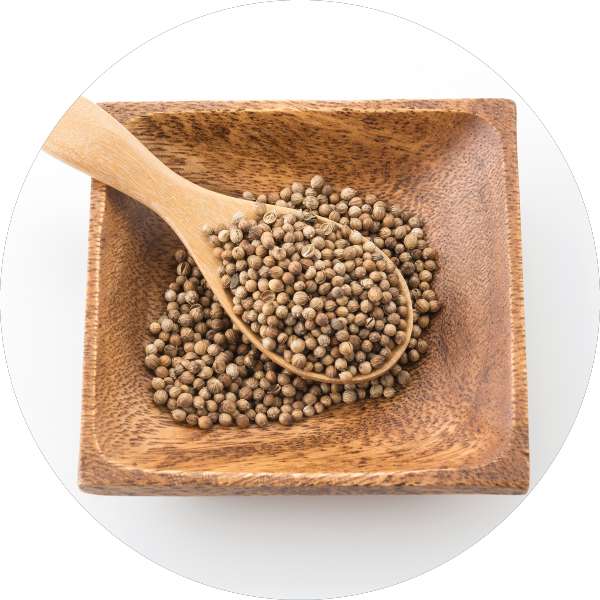 Organic Coriander Powder Manufacturer Wholesale Bulk Supplier Exporter 1