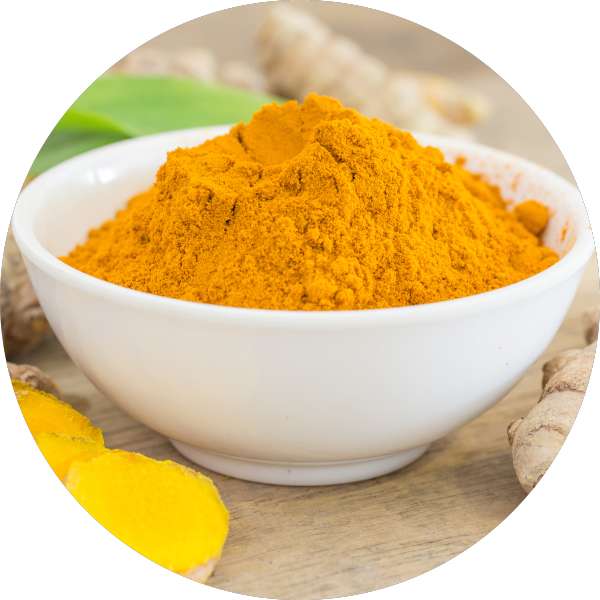 Organic Turmeric Powder Manufacturer Wholesale Bulk Supplier Exporter 1 spices