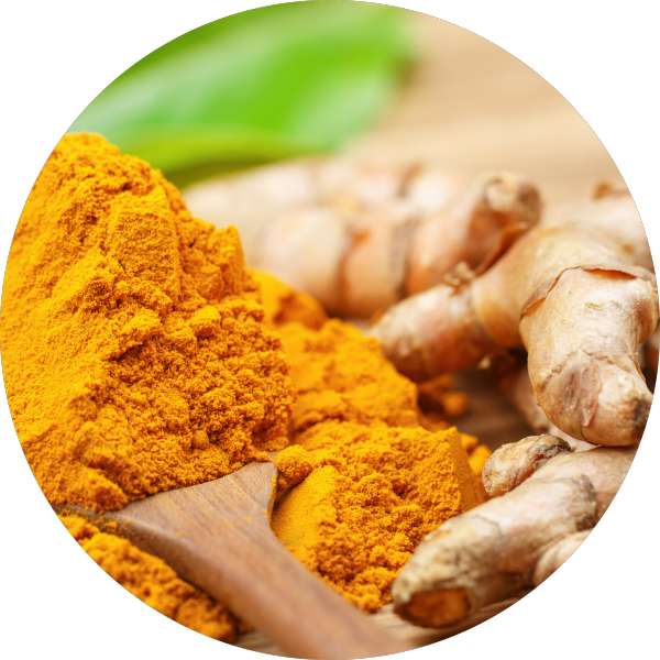 Organic Turmeric Powder Manufacturer Wholesale Bulk Supplier Exporter 3 spices