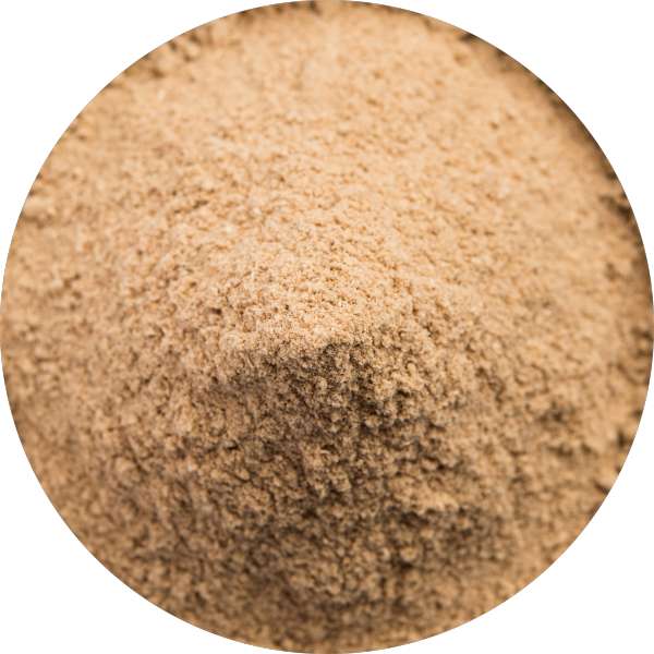 Wholesale Suppliers Of Green Papaya Powder In USA 2