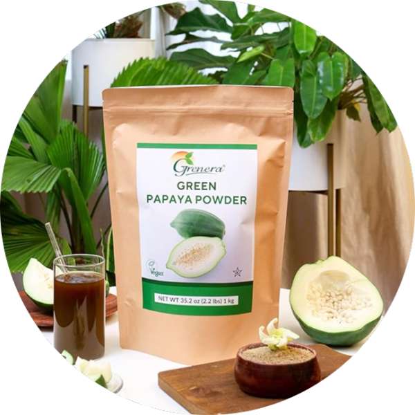 Wholesale Suppliers Of Green Papaya Powder In USA 3