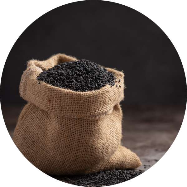 Organic Black Cumin Seeds Manufacturer Wholesale Bulk Supplier Exporter 3