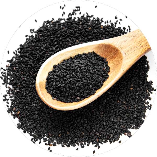 Organic Black Cumin Seeds Manufacturer Wholesale Bulk Supplier Exporter 4