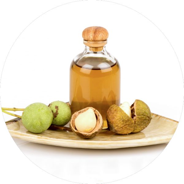 Organic Tamanu Seed Oil Manufacturer Wholesale Bulk Supplier Exporter 1