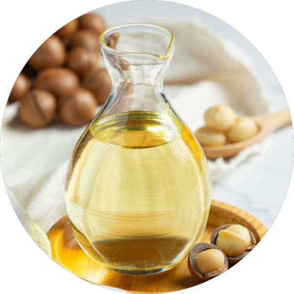 Organic Tamanu Seed Oil Manufacturer Wholesale Bulk Supplier Exporter 4