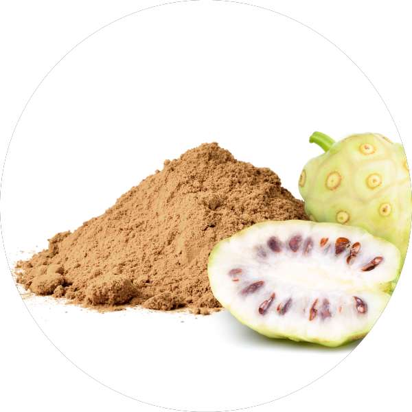 Wholesale Organic Noni Powder Manufacturer And Exporter 2