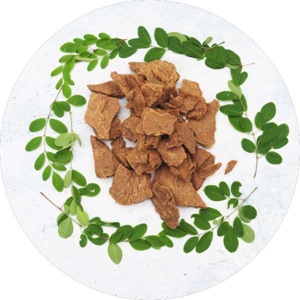 Moringa Seed Cake Manufacturer Wholesale Bulk Supplier Exporter 4