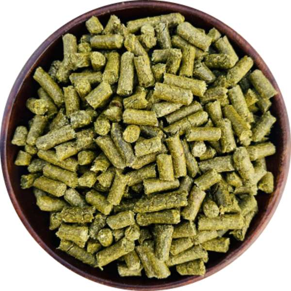 Organic Moringa Pellets Manufacturer Wholesale Bulk Supplier Exporter 5