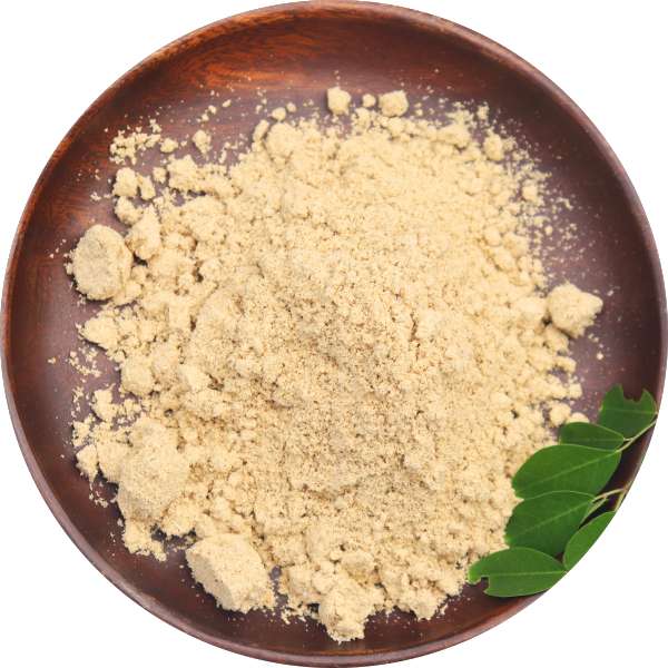 Organic Moringa Seed Cake Powder Manufacturer Wholesale Bulk Supplier Exzporter 1