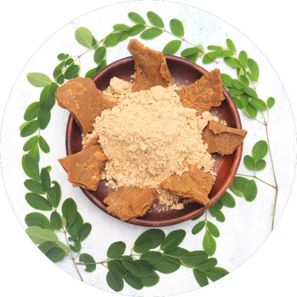 Organic Moringa Seed Cake Powder Manufacturer Wholesale Bulk Supplier Exzporter 2