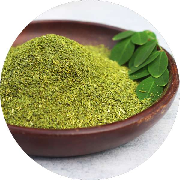 Organic Moringa Tea Cut Leaves Manufacturer Wholesale Bulk Supplier Exporter 2