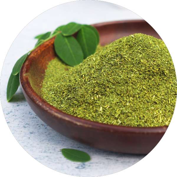 Organic Moringa Tea Cut Leaves Manufacturer Wholesale Bulk Supplier Exporter 3