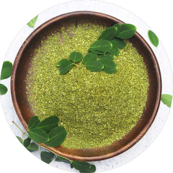 Organic Moringa Tea Cut Leaves Manufacturer Wholesale Bulk Supplier Exporter 4