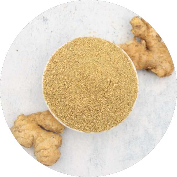 Organic Ginger TBC Manufacturer Wholesale Bulk Supplier Exporter - Grenera Nutrients 1