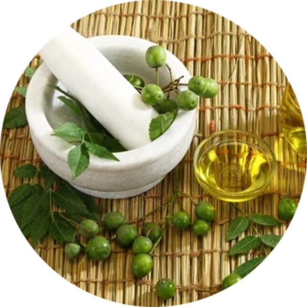 Bulk Neem Oil In California - Grenera Nutrients