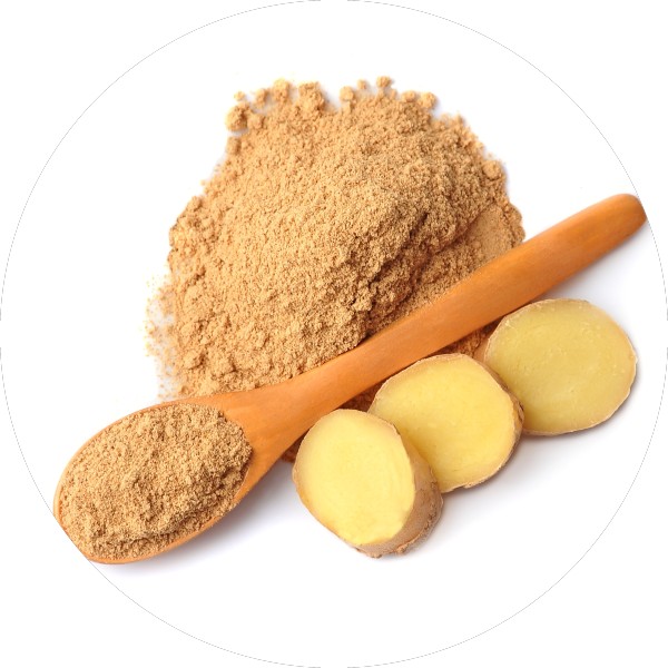 Ginger Tea Bag Cuts (TBC) vs. Ginger Powder Which is Best -Grenera Nutrients 1