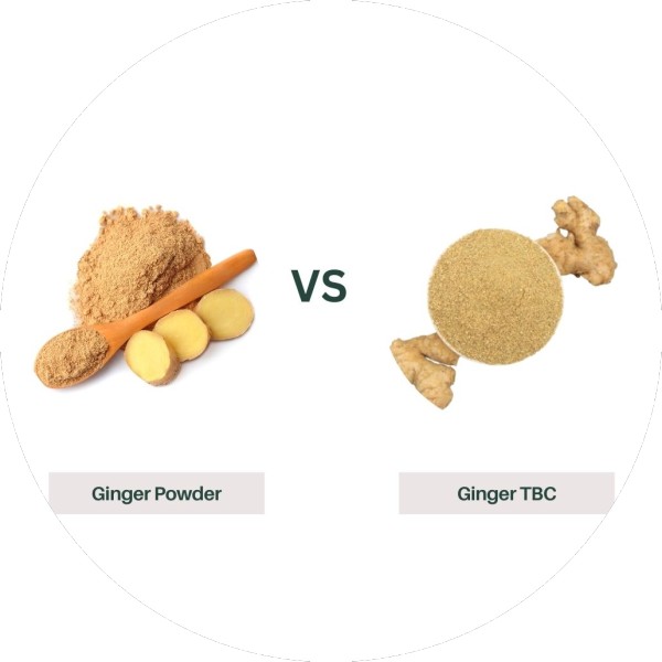 Ginger Tea Bag Cuts (TBC) vs. Ginger Powder Which is Best -Grenera Nutrients